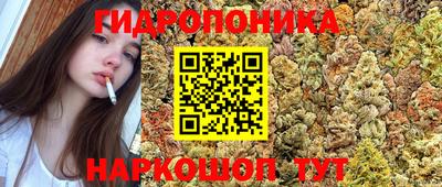 прущие грибы Бузулук
