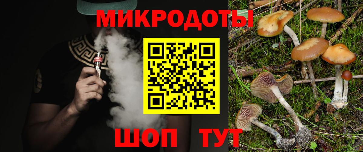 Псилоцибиновые грибы мицелий Сунжа