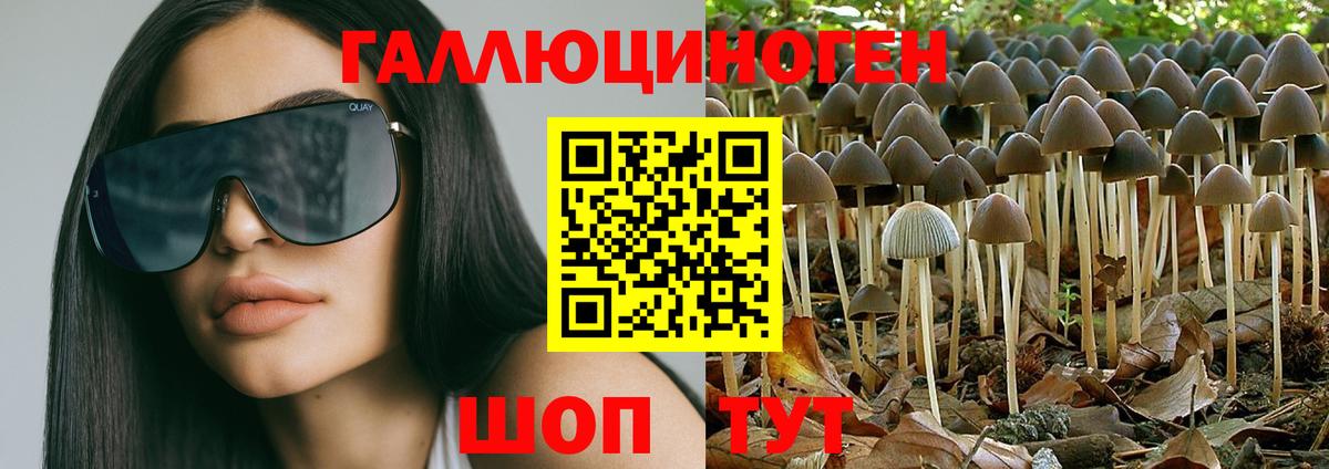 Галлюциногенные грибы Magic Shrooms  Вход с VPN  Сунжа 